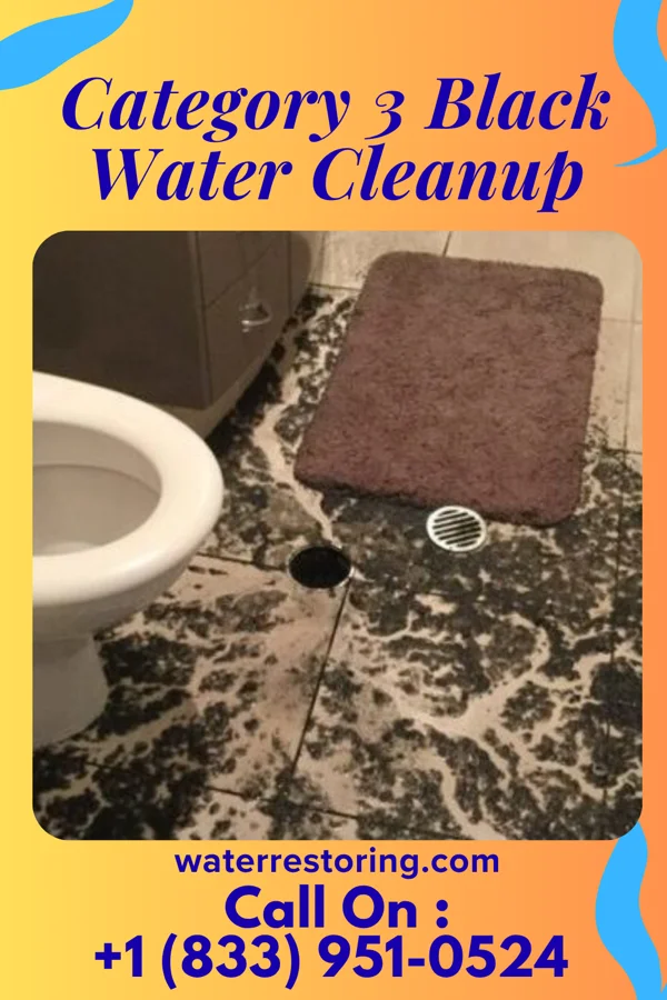 Category 3 Black Water Cleanup in Strathmoor Village, KY