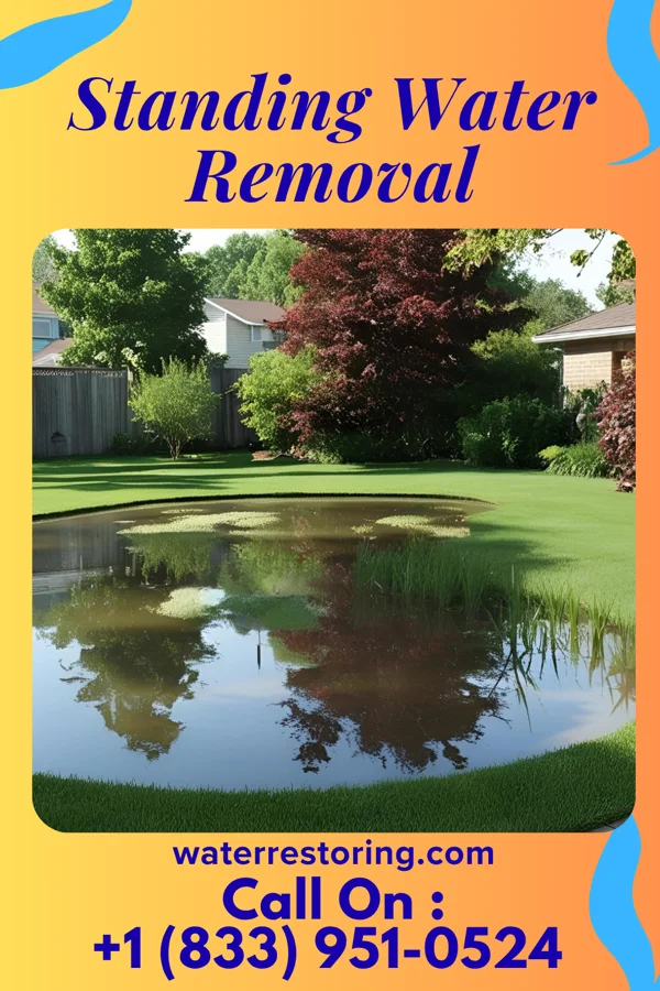 Standing Water Removal in Strathmoor Village, KY